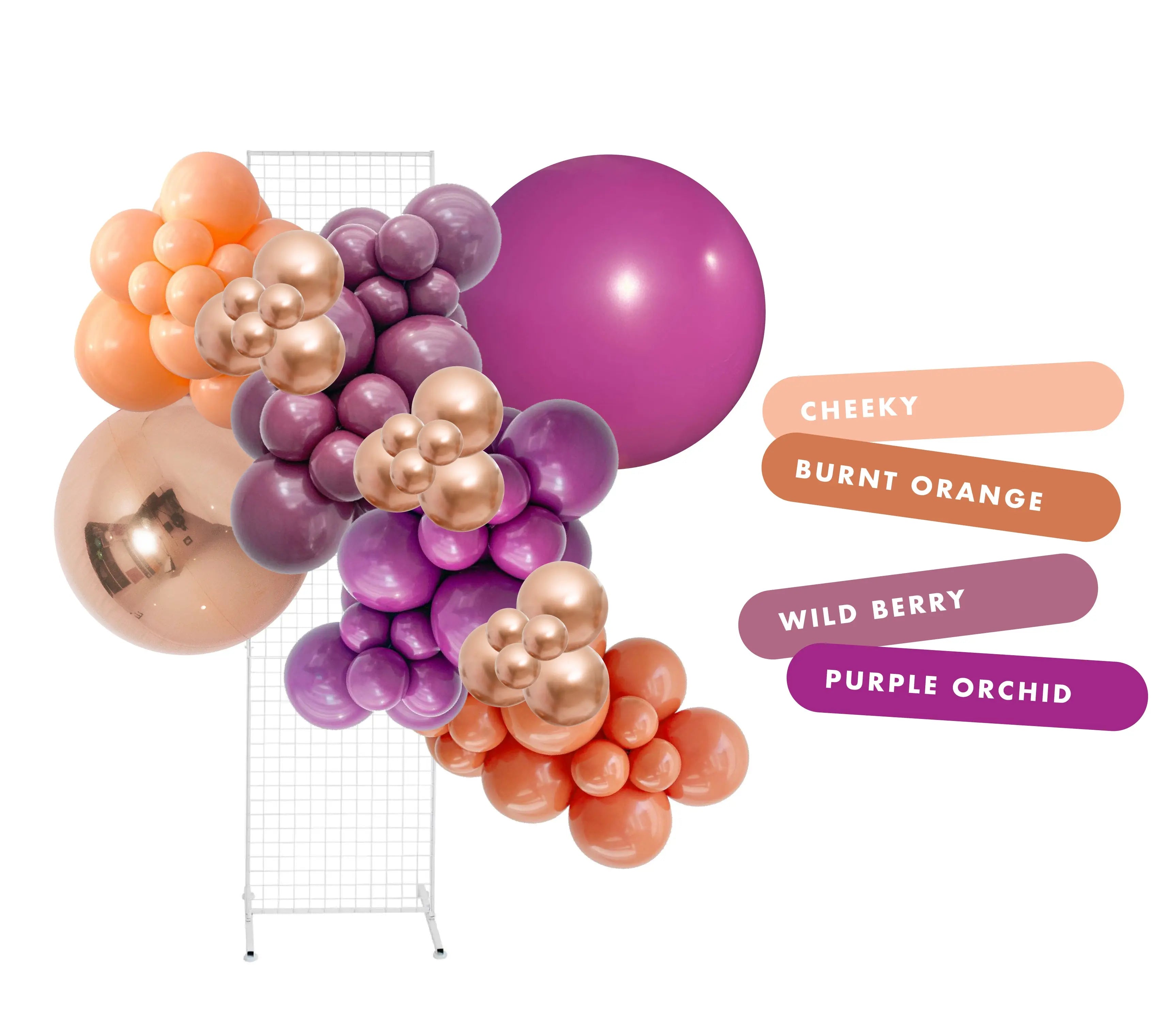 Desert Dusk Balloon Garland Kit Party Love Balloons