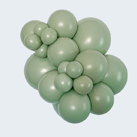 Sempertex Eucalyptus Latex Balloons Sempertex