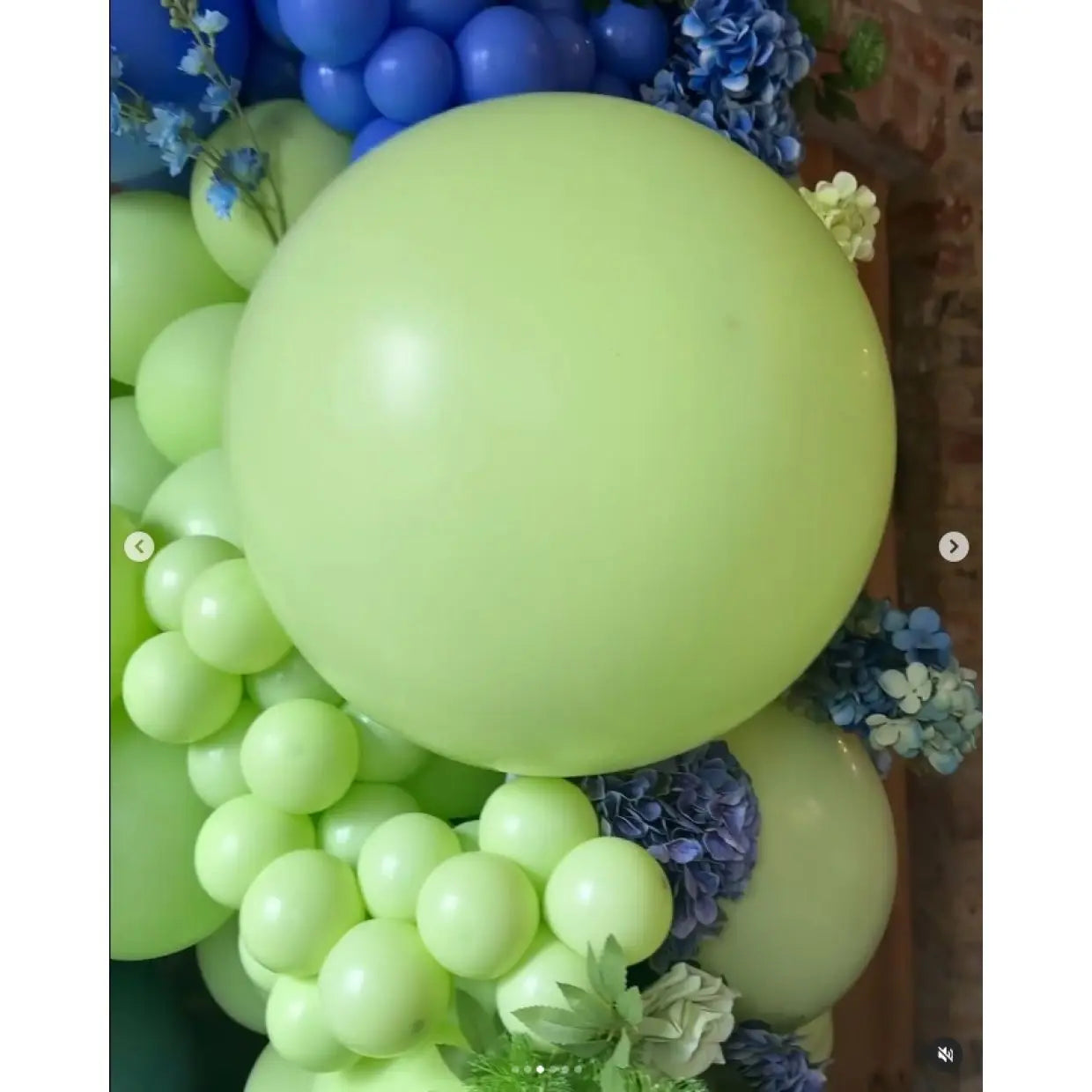 Kalisan Macaron Pistachio Green Latex Balloons Kalisan